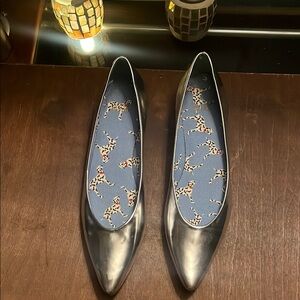 Silver Flats with Pointed Toe and Shimmery Finish